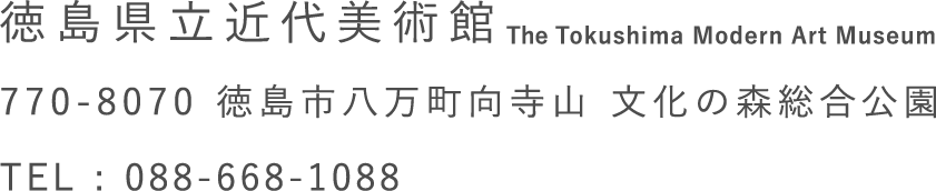 徳島県立近代美術館　770-8070 徳島市八万町向寺山　文化の森総合講演