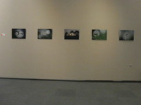 ヤマザキノブアキ作品画像