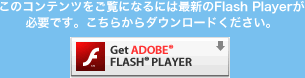 Adobe Flash Player をダウンロード（無料）